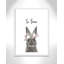 Le lapin est courage-48187589-48187569