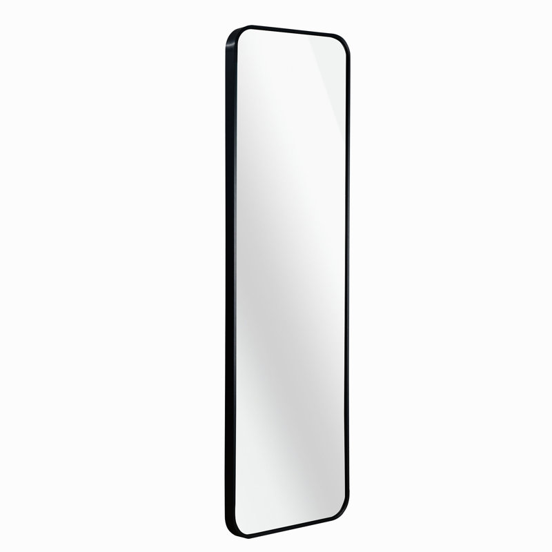 47 X 14IN Door Mirror.(W2203P182244), Black