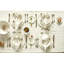 Canvas Home Abbesses Colored Rim Porcelain 4 Piece Dinnerware Set, Service For 1-18578179