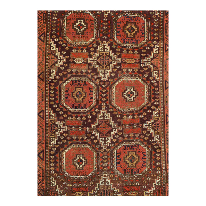 Oriental Area Rug in Brown
