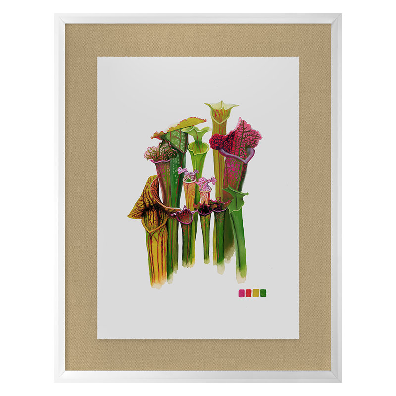 Pitcher Plant Print by Thicket Design, White Framed, 36" H x 28" W x 1.75" D