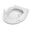 Troncoso Soft Close Elongated Toilet Seat