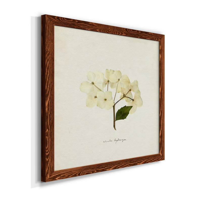 Cornales Hydrangea II - toile encadrée de qualité supérieure - prête à être accrochée, H 35,5 po x l 35,5 po x P 1,5 po