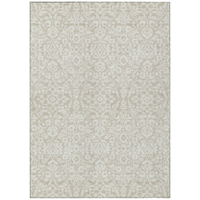 Condol Area Rug