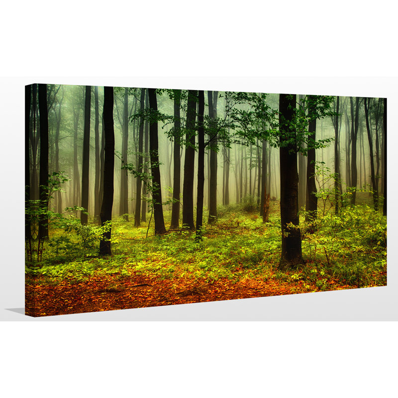 « the right path », reproduction de photo sur toile tendue, H 24 po x l 40 po x P 1 po