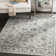 Spragueville Oriental Viscose Hand Woven Area Rug
