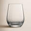 Prizma 12.6 oz. Lead Free Crystal All Purpose Wine Glass