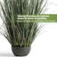 Herbe d'oignon de 4 pi, plante artificielle et verdure, herbe de roseau en fausse prêle de 48 po avec têtes de graines, décoration intérieure / extérieure