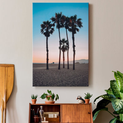 " Santa Monica Palm "