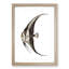 Chaetodon Fish by George Shaw - Picture Frame Painting Print-55621313-55621312