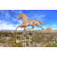 Girouette de cheval-21835487