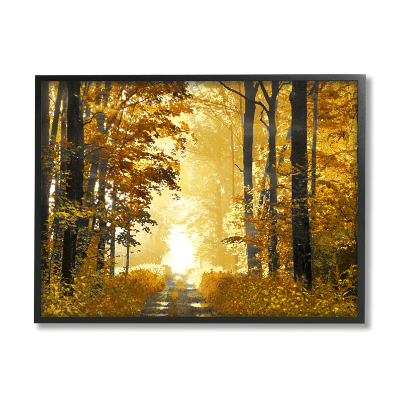 «Stupell Industries Autumn Path Landscape», art mural sur toile par Derek Scott, Giclée encadrée noir minuit