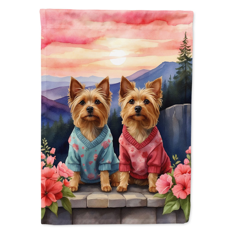 Double Sided 40'' H x 28'' W Polyester Valentine's Day House Flag