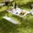 Picnic Table Set With 2 Benches