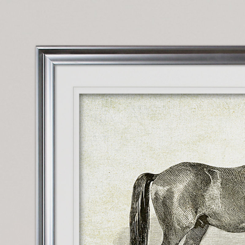 « équin assiette xxi », impression, Cadre argenté, H 31 po x l 43 po x P 1,5 po, Blanc mat