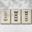 Ensemble de 3 papillons encadrés sur toile pauquet-97710719-97710721