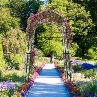 Breeleigh 180cm W x 160cm D Metal Arbour in Black