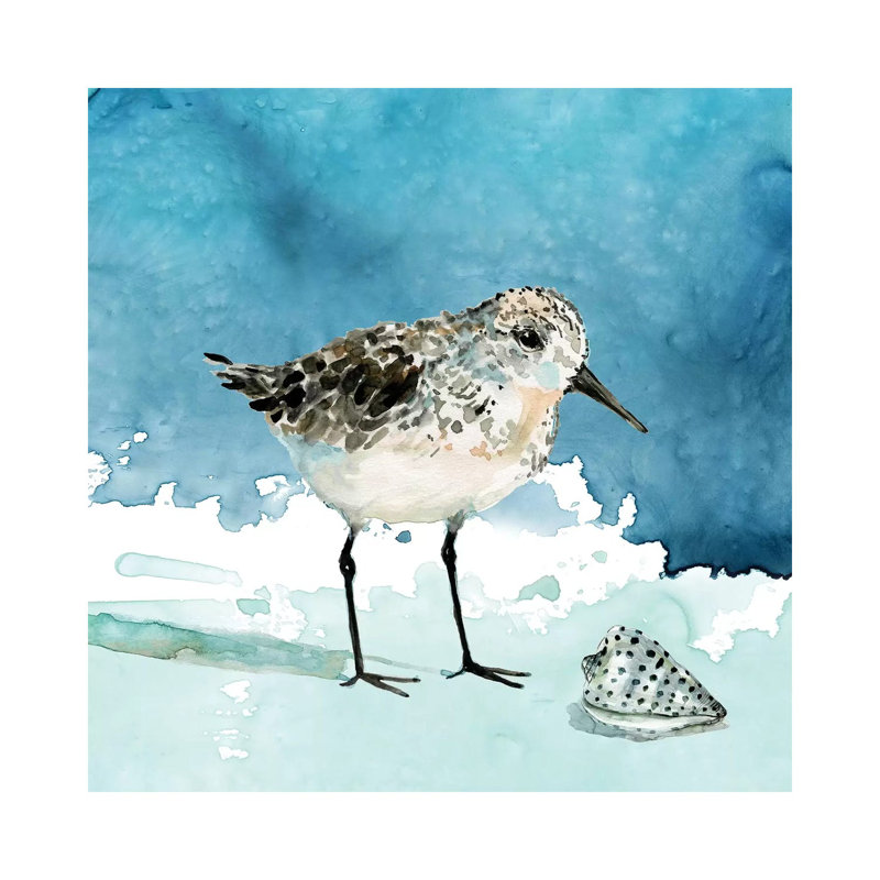 Delray Sandpiper I by Carol Robinson - Wrapped Canvas Gallery-Wrapped Canvas Giclée, 66.04 cm H x 66.04 cm W x 1.91 cm D