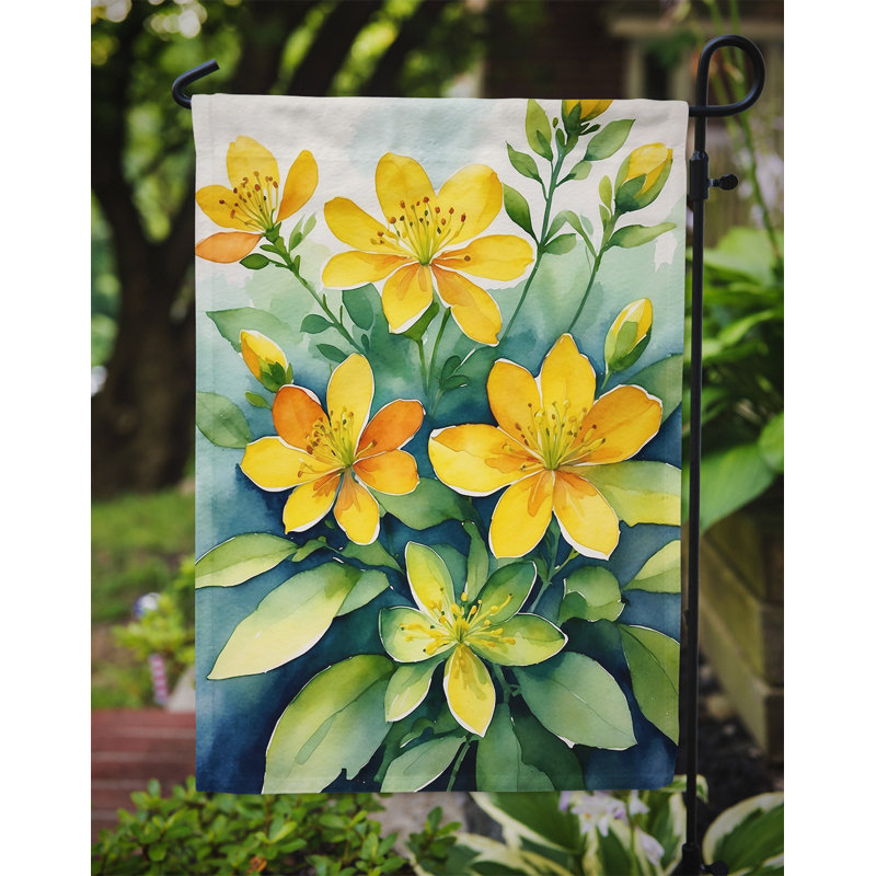 Drapeau d'hypericum ou de millepertuis, L'hypericum ou le millepertuis