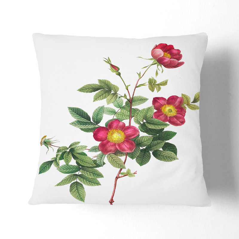 Floral Square Cushion, White, 40cm H x 40cm W x 15cm D