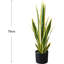 Plant-2028243220