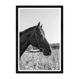 Hunt Club Portrait Print by Tim Klein