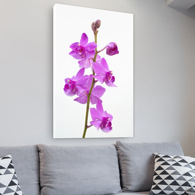 by Kurt Shaffer Print