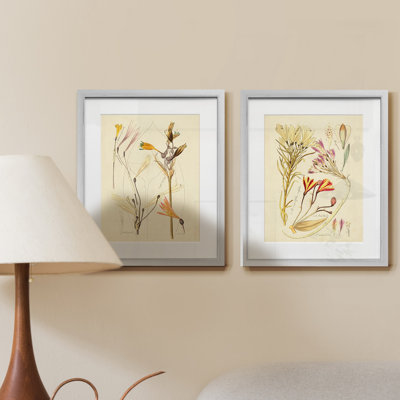 « Antique Botanical sketch VI », ensemble de 2 reproductions d’art graphique encadrées sur papier