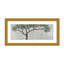 Nature Inspired "Spring's Guardian" Canvas Wall Art By -1755464265-1762081149-1762081150