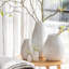 Vase Freeform-491274940