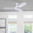 Bruening 52'' Ceiling Fan with Light Kit-24773918