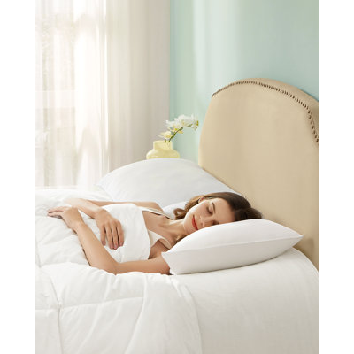 Plain Weave / Muslin Pillow Case