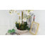 Silk Orchid Arrangement In Pot-823644236