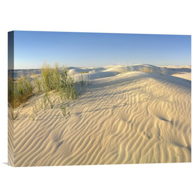 Sand Dunes - Photograph on Canvas