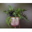 152.4cm Faux Fern Plant in Pot Liner