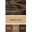 Hawaiian Sand Tones, art mural en métal brun-59683184