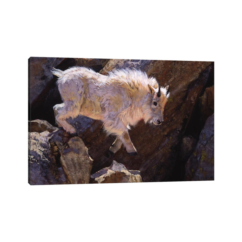Rockhopper by Julie T. Chapman - Wrapped Canvas Print, 66.04 cm H x 45.72 cm W x 3.175 cm D