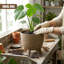 Pot Planter-1997531617-1997531550