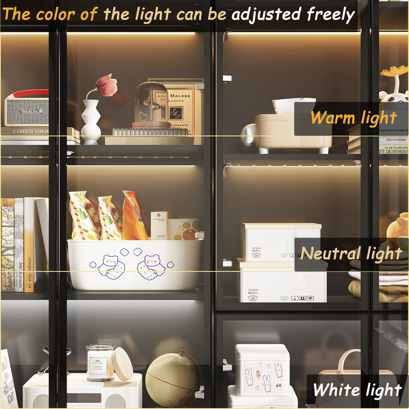 78.7'' H X 63'' W 2-Drawer Bookcase With Glass Doors And LED Light, Black