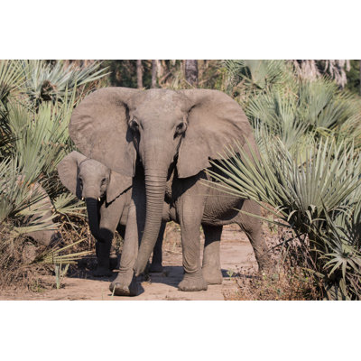 The Look! 1 Piece Wrapped Canvas Wall Art