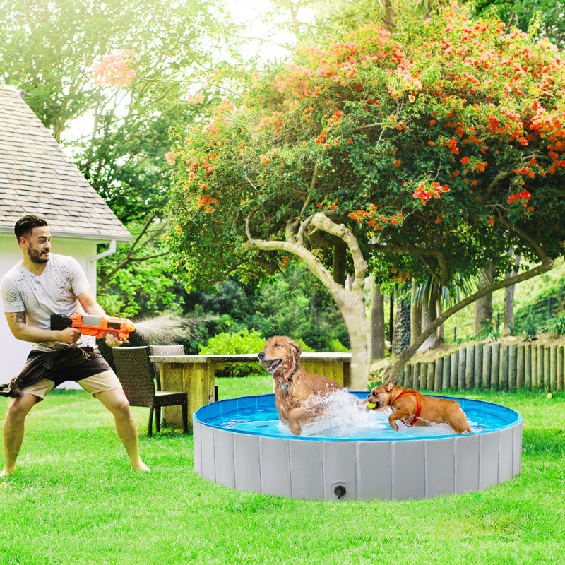  Grande baignoire pliable en PVC pour chiens / chats, H 12 po x l 71 po x P 71 po, Gris