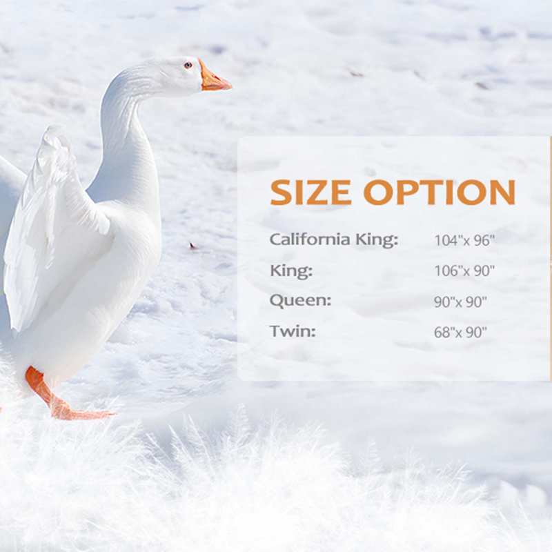 All Season Down & Feather Blend Comforter 600in³/oz Fill Power, California King