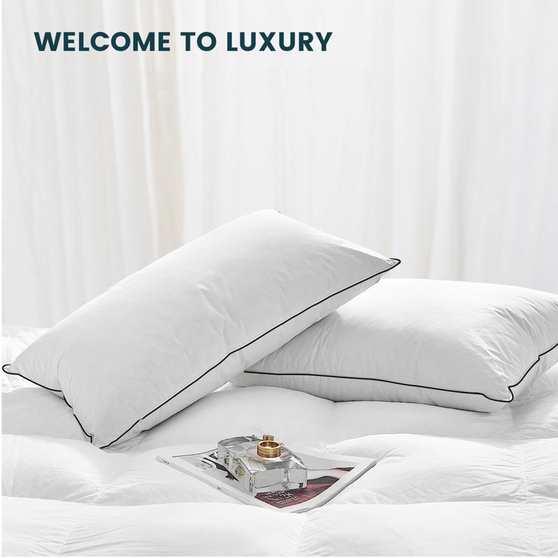 HYVIF Premium White Luxury Goose Down Pillow - Ultra-Soft, Hypoallergenic, Hotel Quality for Optimal Comfort and Support - 2 Pack, King Size (20" x 28")