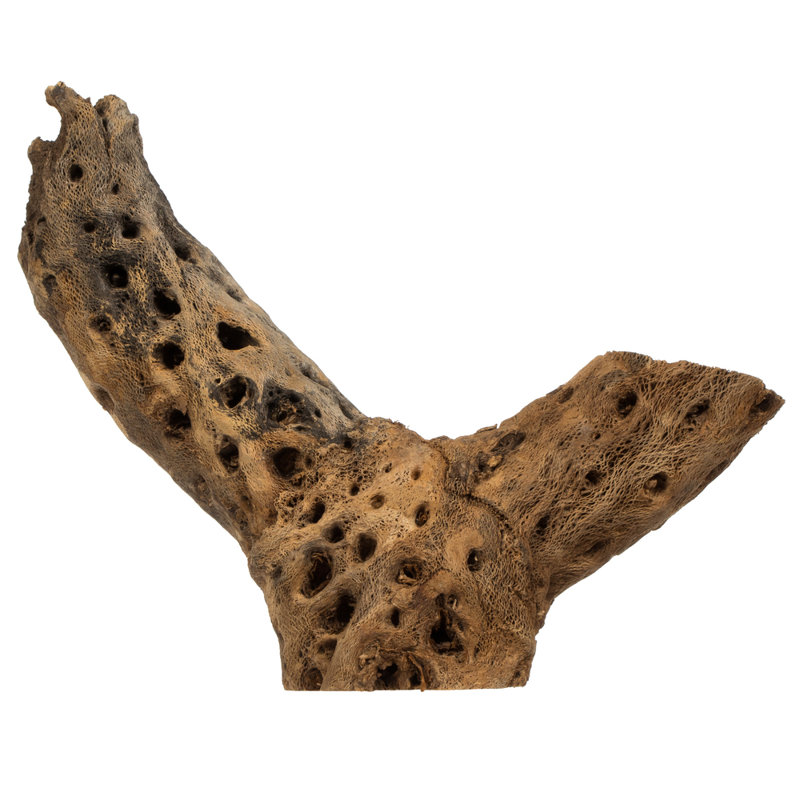 4 -18" Assorted Cholla Odds & Ends bulk case. Dried
