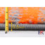 Tapis abstrait à motif abstrait contemporain et brossé
