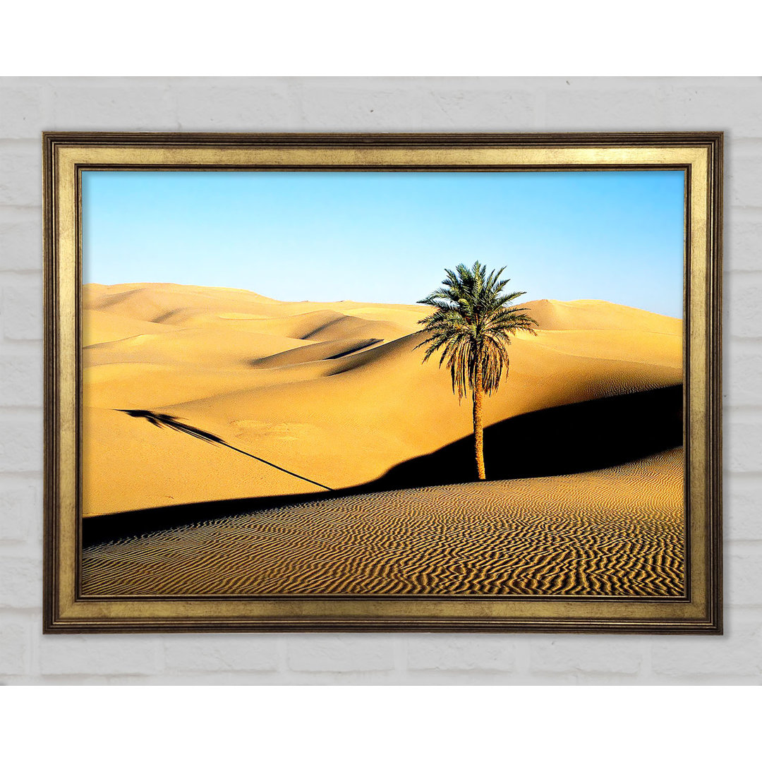 Desert Palmtree - Drucken