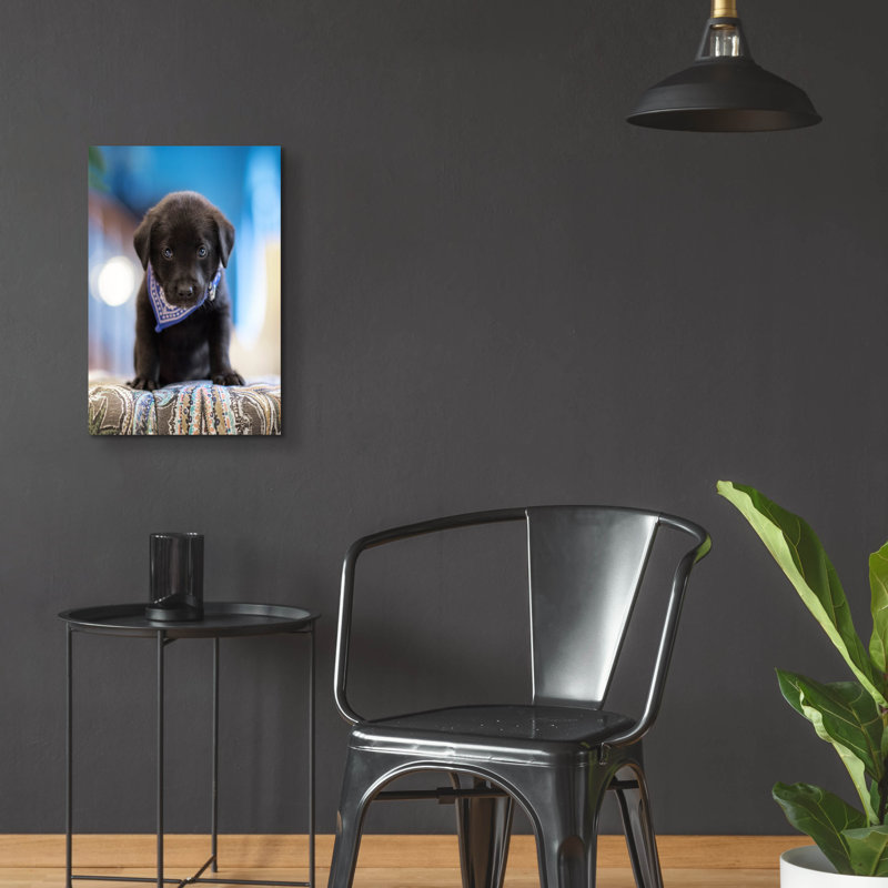 «Black Lab Pup 12» par Jonathan Ross, H 24 po x l 16 po x P 0,2 po