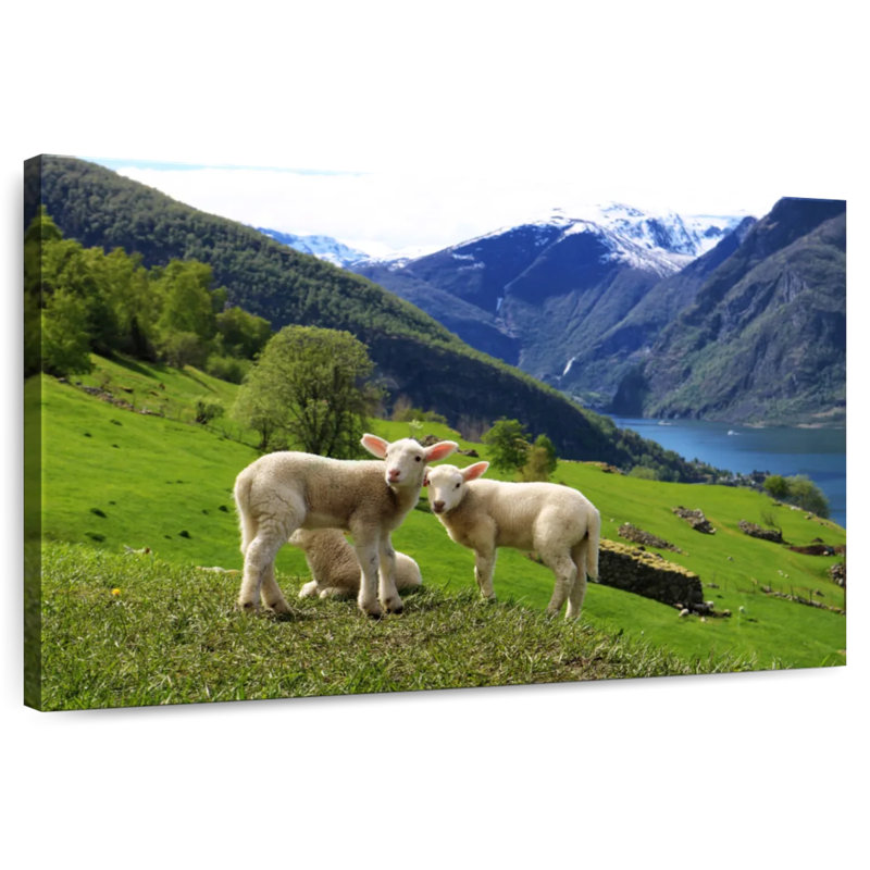 Brampt Norwegian Sheep, 16" H x 24" W
