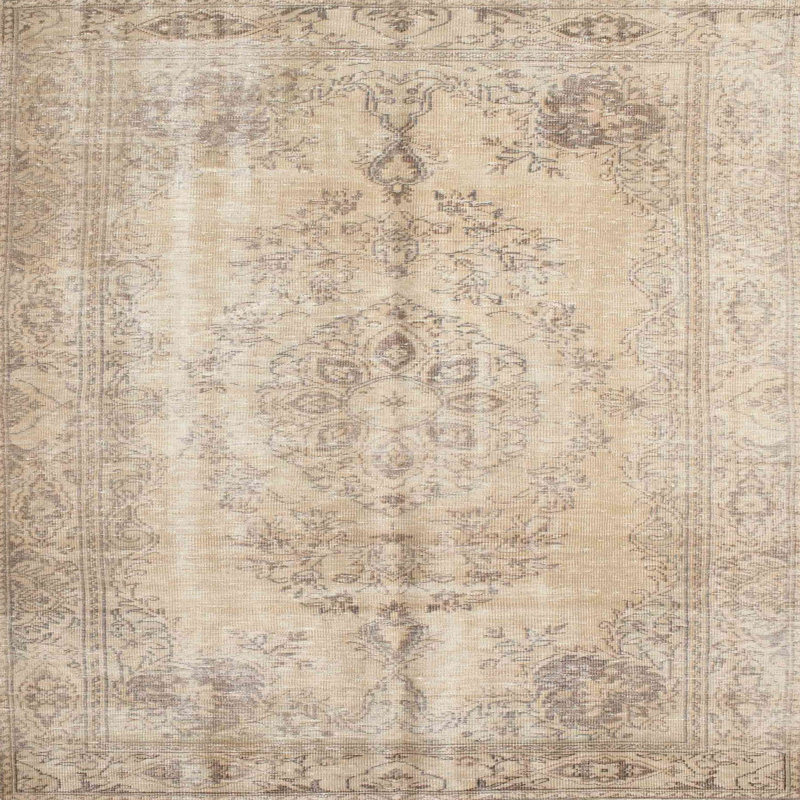 Patria Oriental Indoor Rug, Square 6'