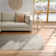 Blaine Hand Knotted Oriental Indoor Rug